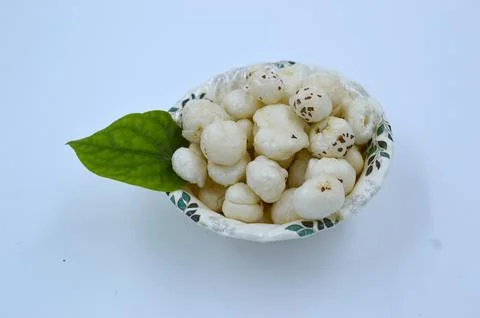 Fox nut image on white background Stock Photos