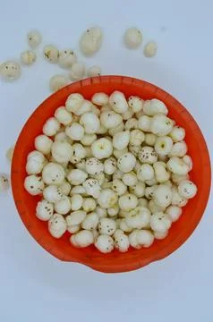 Fox nut stock image Foto stock