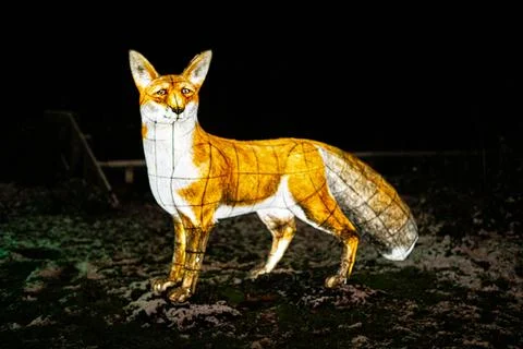 Fox at the park 스톡 사진