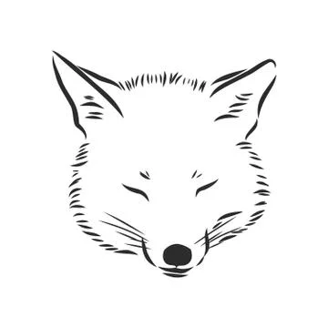 Fox portrait. Hand drawn vector illustration. Can be used separately from you Stock Illustration