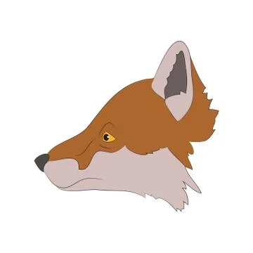 Fox portrait vector illustration, color illustration, wild world Illustrazione stock