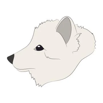 Fox portrait vector illustration, color illustration, wild world Illustrazione stock