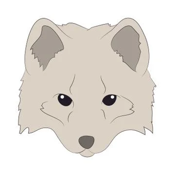 Fox portrait vector illustration, color illustration, wild world Illustrazione stock