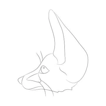 Fox portrait vector illustration, line drawing, wild world Stock-Illustration