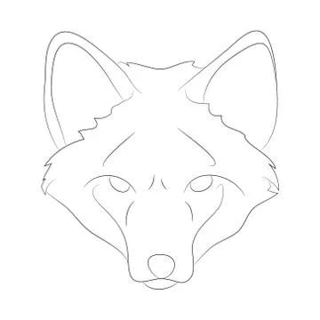 Fox portrait vector illustration, line drawing, wild world Stock Illustration