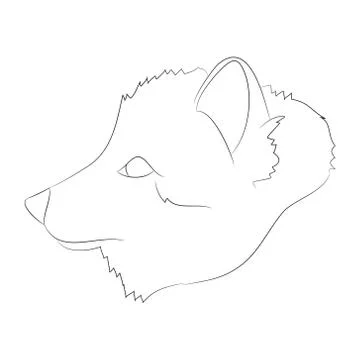 Fox portrait vector illustration, line drawing, wild world Stock Illustration