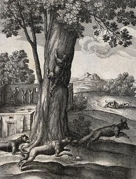 A fox is pursued by two dogs while a cat escapes by climbing a tree. Etchin.. Stock Illustration