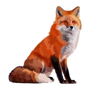 Fox realistic icon vector illustration wild animal. Stock Illustration