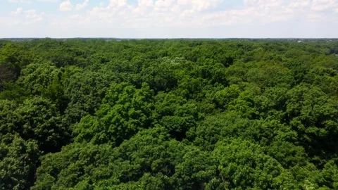 Fox River Drone Stock Footage 242702406