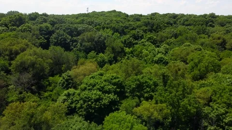 Fox River Drone Stock Footage 242702413