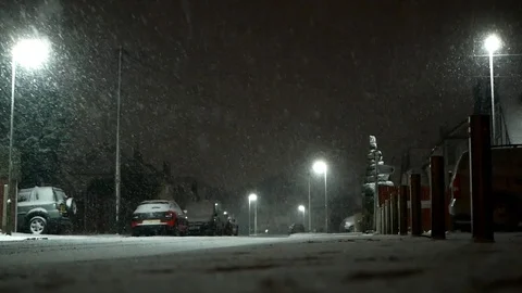 A fox is runing in snow falling on street of Epsom, Surrey, Uk at night, 2018 動画素材 103587173
