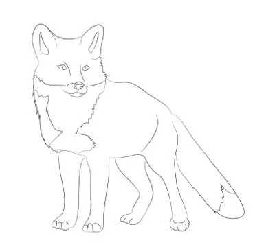 Fox  sitting, lines drawing, vector Illustrazione stock