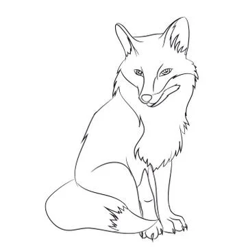 Fox  sitting, lines, vector Illustrazione stock