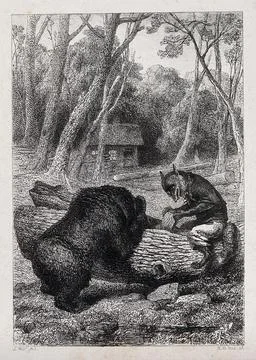 A fox, sitting on a tree trunk, is enticing a bear to poke its head in the .. Illustrazione stock