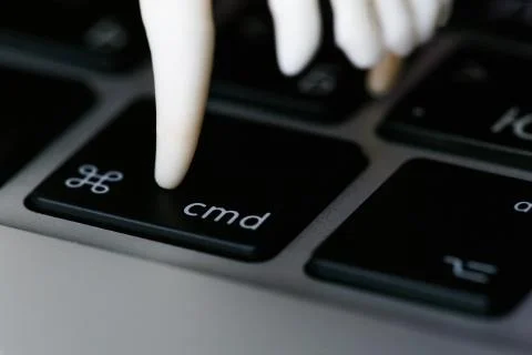 Fox skull without the lower jaw on the laptop keyboard. Concept of the dangers Stock Photos