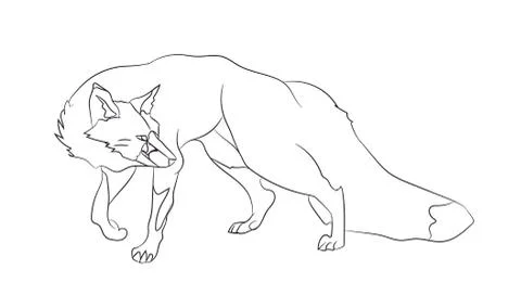 Fox stands, lines, vector Stock Illustration
