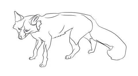 Fox stands, lines, vector Illustrazione stock