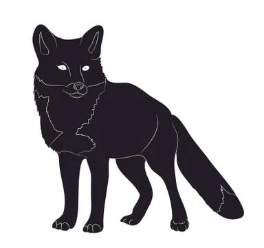Fox stands silhouette drawing, vector Stock-Illustration