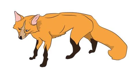 Fox stands, vector Stock Illustration