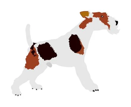 Fox Terrier vector illustration isolated. Beware of dog. イラスト素材
