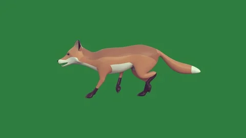 Fox Walking Isolated Green Screen Stock Video Video stock 338016639