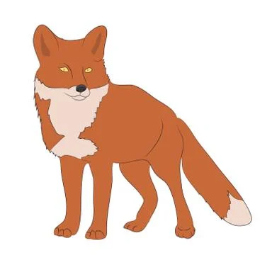 Fox worth drawing color, vector Stock Illustration