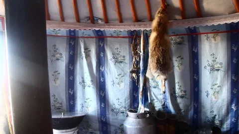 Fox's fur inside a yurt in Mongolia Video stock 88403537