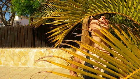 Foxtail model Video stock 107304282