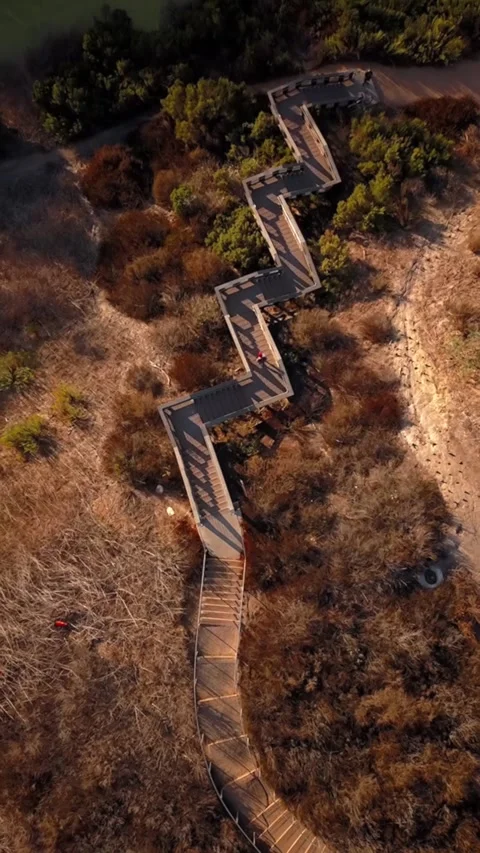 FP Day Steps Stock Footage 243630629