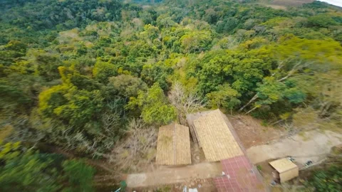 FPV aerial drone shot inside a forest in Sen Monorom at Mondulkiri, Cambodia Stock Footage 243100457