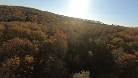 FPV aerial drone view. Flying above autumn forest hills near Dnipro river 動画素材 144599115