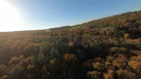 FPV aerial drone view. Flying above autumn forest hills near Dnipro river 動画素材 144599779