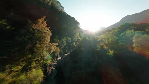 FPV aerial shot on a stream in the mountains of Calabria Stock Footage 308657367