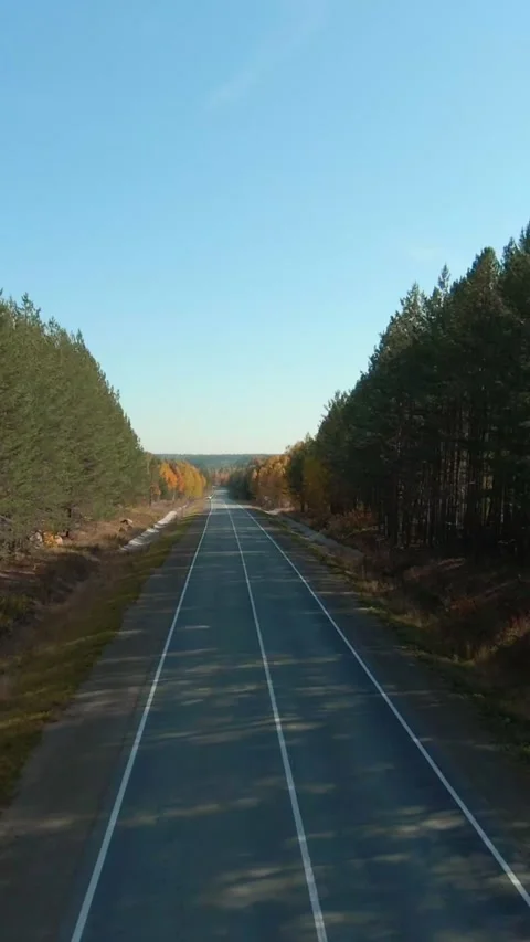 FPV aerial view of empty autumn forest highway at sunrise in remote taiga Stock Footage 346559108