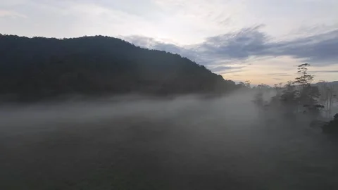 FPV aerial view of misty mountains at Ranca Upas Ciwidey, Indonesia. Stock Footage 337490884