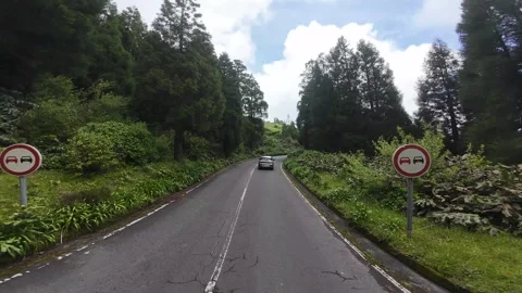 FPV Car Drive Through Deep Forest Corridor-07 Stock-Footage 322690076