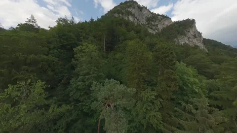 FPV Climb Over Forested Mountain  – Cinematic Drone Footage (4K) Stock Footage 311757829