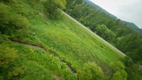 The FPV copter flies low over a mountain river, between green spruce trees Video stock 278366970