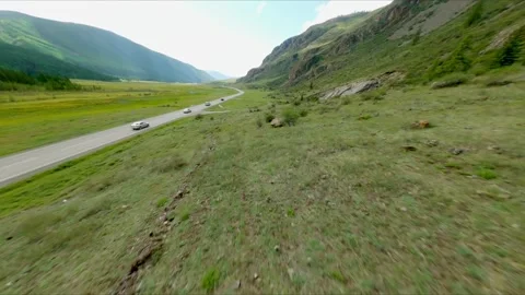 The FPV copter flies low to the trees. Hills covered with green trees, turbulent Video stock 278369128
