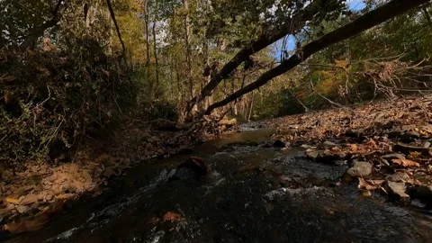 FPV Creek Flying Stock Footage 171469794