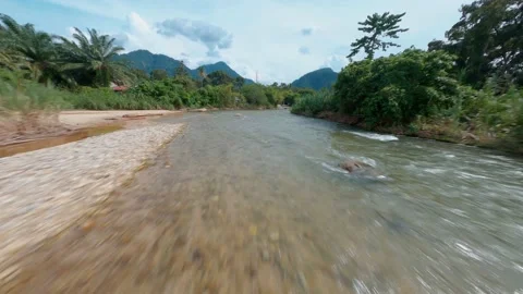 Fpv Cruise on River Stock Footage 169702066