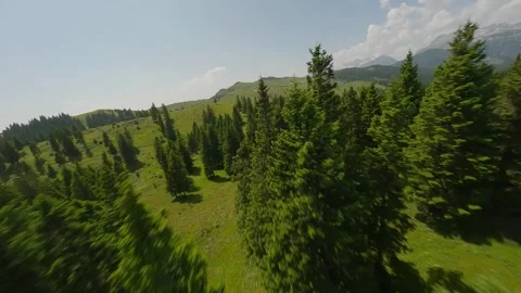 FPV Cruising Through Alpine Forest – Velika Planina, Slovenia (4K) Stock Footage 311569741