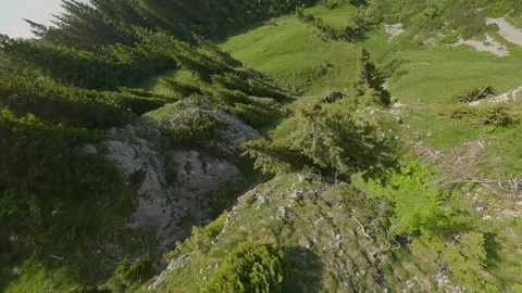 FPV Dive and Ascent – Rocky Slope and Forest Climb (4K) Stock Footage 311545902