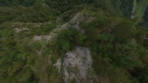 FPV Dive Over Forested Slope Near Interlaken – Cinematic Drone Footage (4K) Stock Footage 311758227