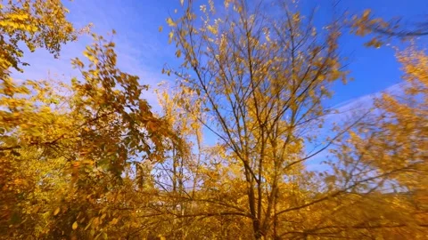 Fpv dron in sunset Stock Footage 197415407