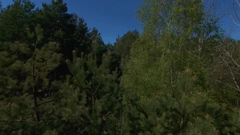 FPV Drone Aerial Flight Over Forest and Agricultural Fields Stock Footage 334671100