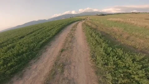 FPV drone aggresive and fast flying on a summer field with green grass Stock Footage 169280498