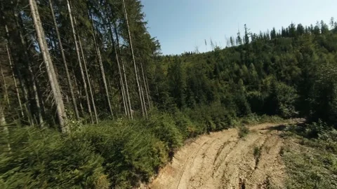 FPV Drone Bird Eye View: Flying Above Forest Road to Lumber Preparation Place in Stock Footage 167156807