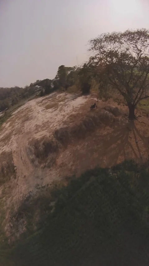 FPV Drone Captures Thailand's Rice Fields and a Majestic Tree - Aerial Harmony Stock Footage 305460338