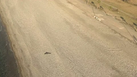 FPV drone chasing another drone Stock Footage 230340854